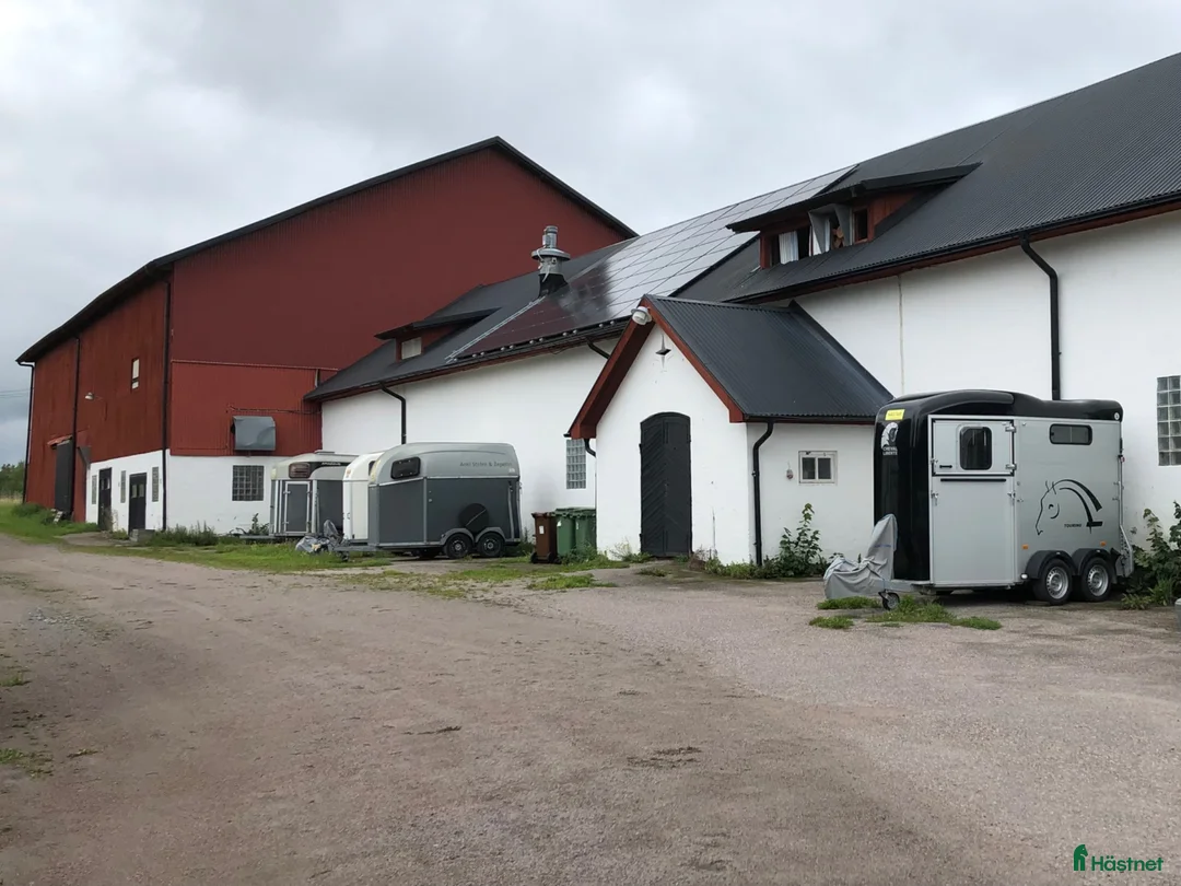  hästjobb finnes: Halvtidsjobb i Almunge, öster om Uppsala. - Annons 1
