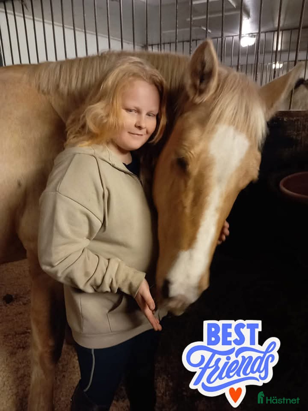  stallplats finnes: Söker stallplats i Vinslöv - Annons 1