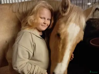 stallplats Söker stallplats i Vinslöv - Annons 3