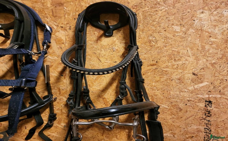 Träns hästutrustning till salu i Köping - Annons 15