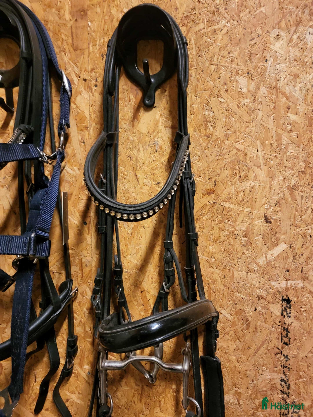 Träns hästutrustning till salu: Komplett kandar i Köping - Annons 1