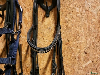 Träns hästutrustning till salu: Komplett kandar i Köping - Annons 4