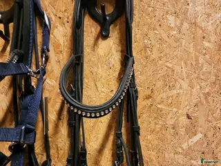 Träns hästutrustning Komplett kandar i Köping - Annons 3