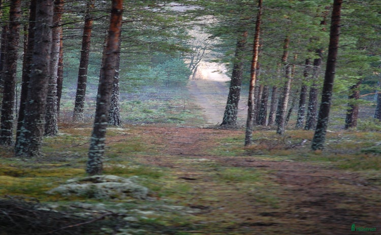  hästgårdar till salu i Linköping - Annons 2