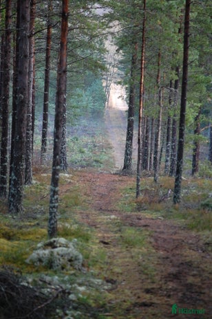 hästgårdar till salu i Linköping - Annons 2