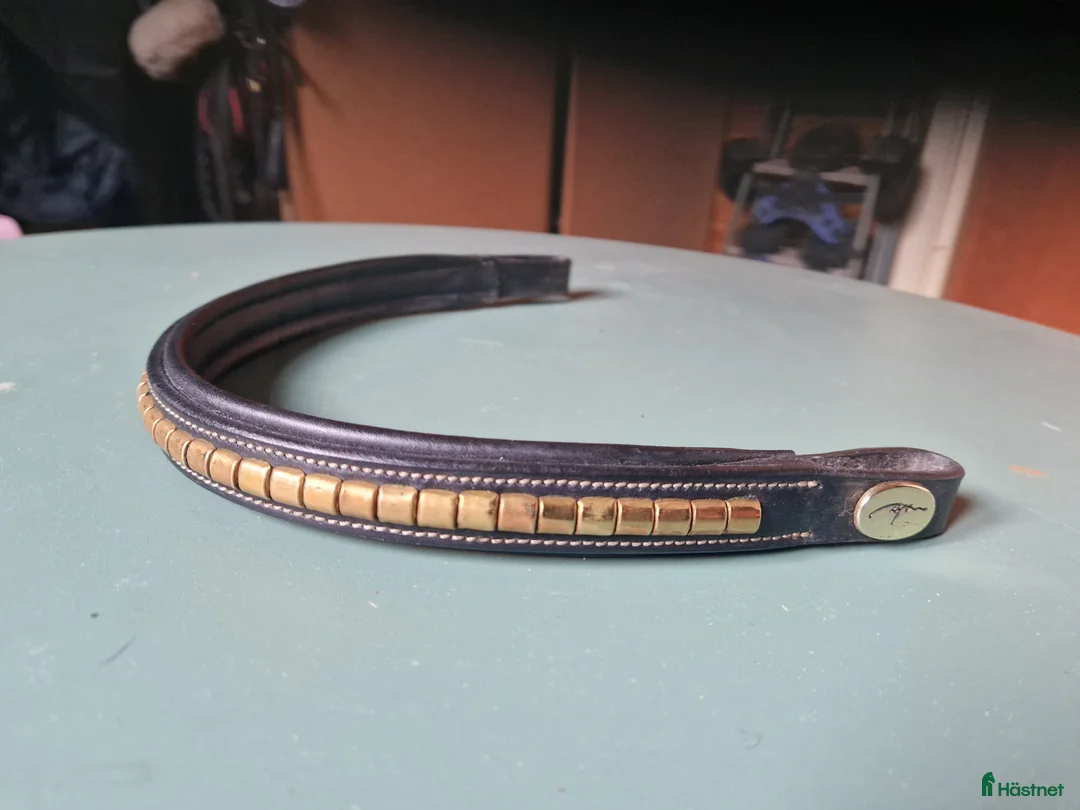 Övrig Hästutrustning hästutrustning till salu: Tre olika pannband i Mantorp - Annons 3