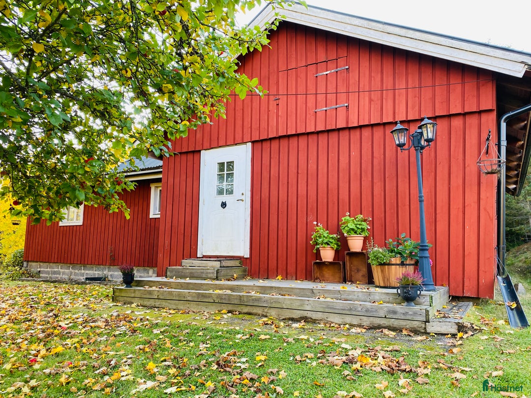  hästgårdar till salu: Gård med avskilt läge utanför Uppsala i Alunda - Bild 3