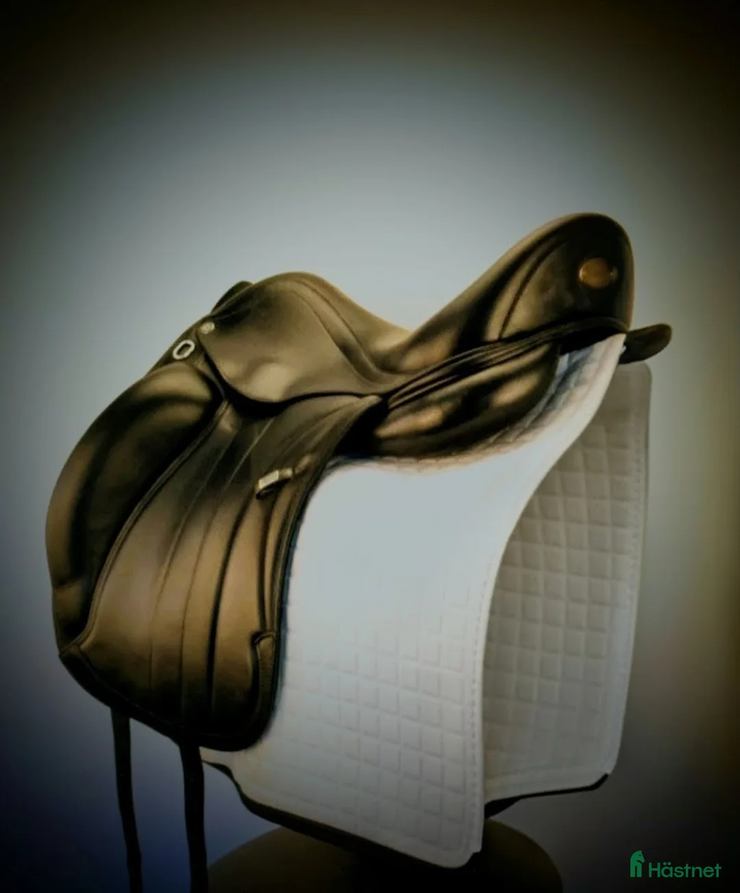 Sadlar hästutrustning till salu: Super fin Equipe Viktoria  i Hjärnarp - Annons 2