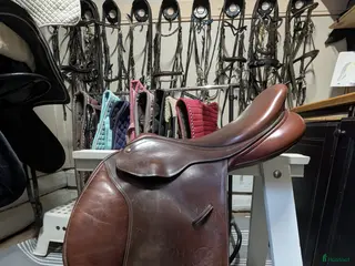 Sadlar hästutrustning Bates Caprilli hoppsadel 😊 i Vimmerby - Annons 18