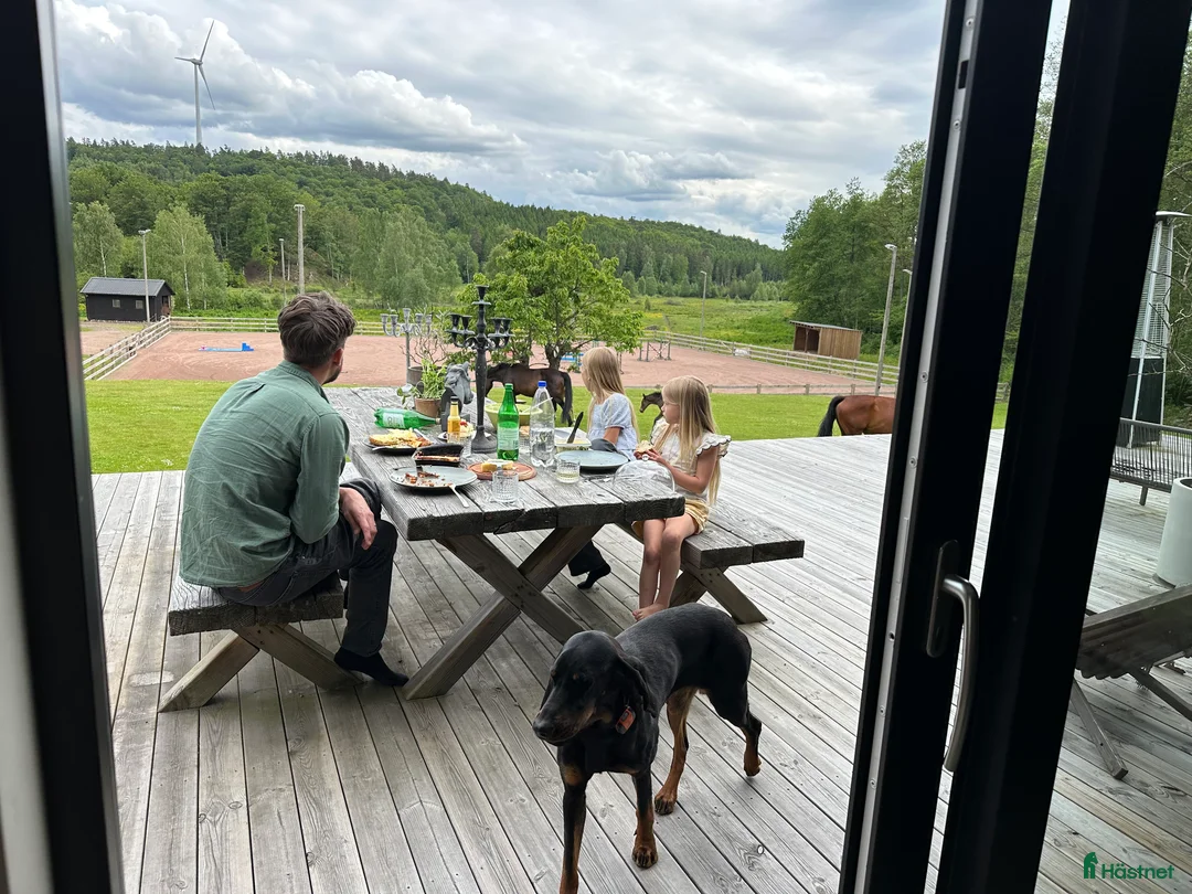 Galleribild {{count}}