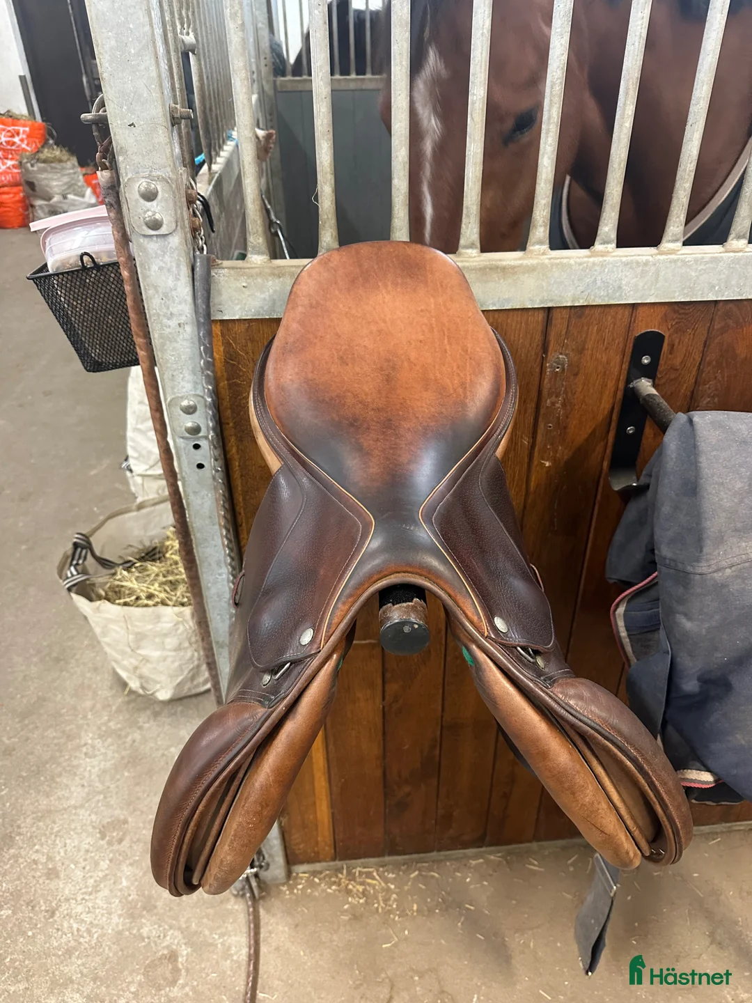 Sadlar hästutrustning till salu: equipe linnea expression - Annons 3