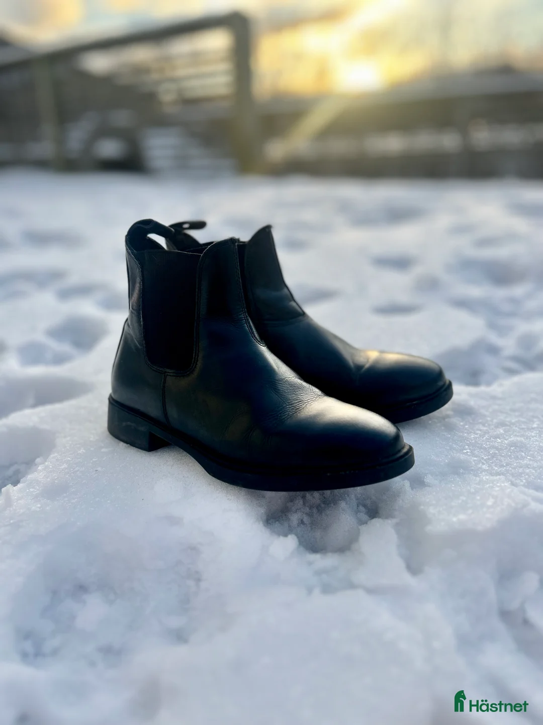 Ridstövlar ryttarutrustning till salu: CRW ridskor  - Annons 2