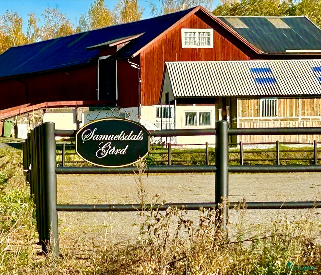  hästgårdar till salu: Perfekt för verksamhet / inackordering i Kopparberg - Bild 2