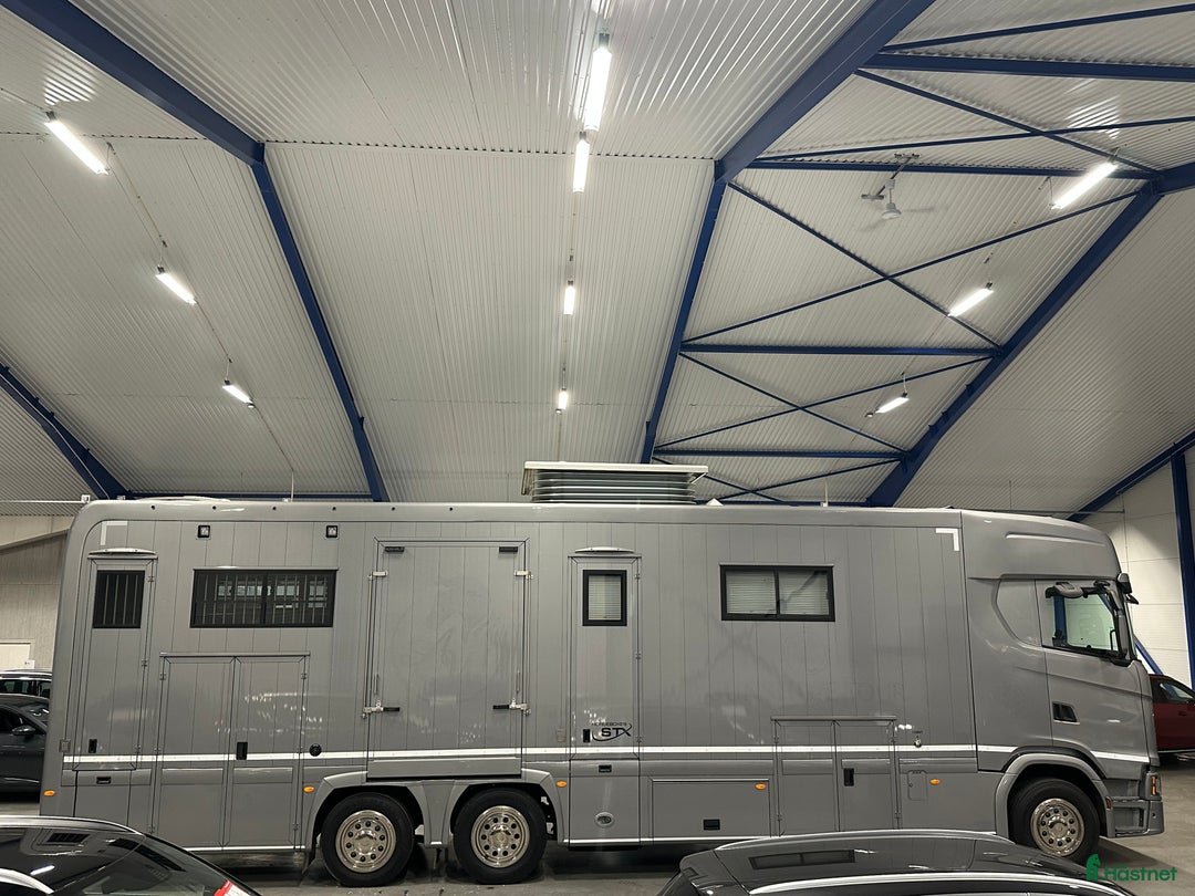 Hästlastbilar  fordon & transport till salu: Scania Stephex STX S500 Hästlastbil / Pop-X2 / i Eslöv - Annons 8