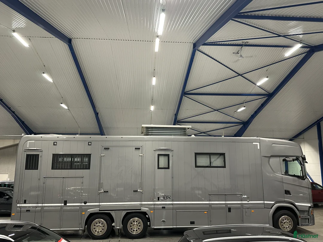 Hästlastbilar  fordon & transport till salu: Scania Stephex STX S500 Hästlastbil / Pop-X2 / i Eslöv - Annons 8