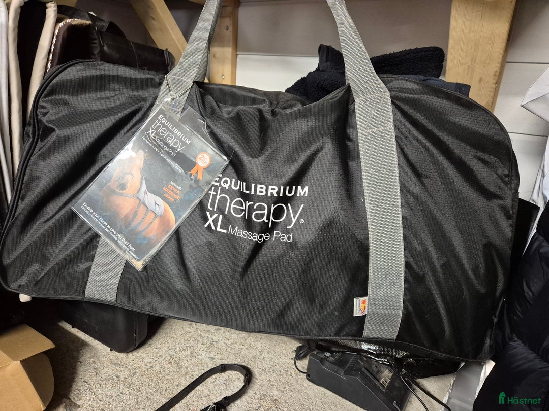 Övrig Hästutrustning hästutrustning till salu: Massagepad för häst 155+ i Ullånger - Annons 3