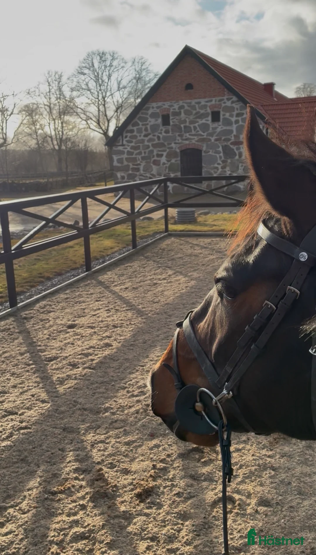  hästservice finnes: Unghästutbildning i Knislinge - Annons 2