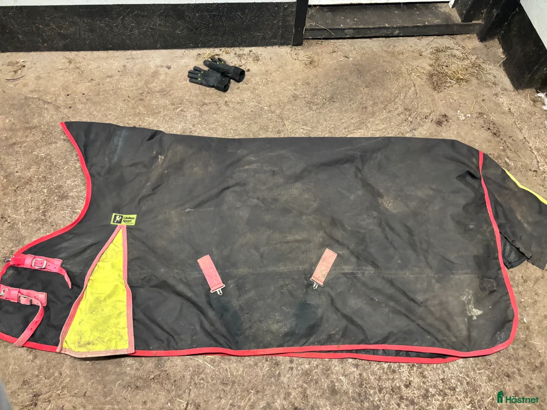 Täcken hästutrustning till salu: Globus utetäcke - Annons 1