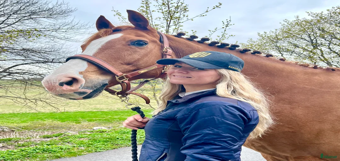 Galleribild {{count}}