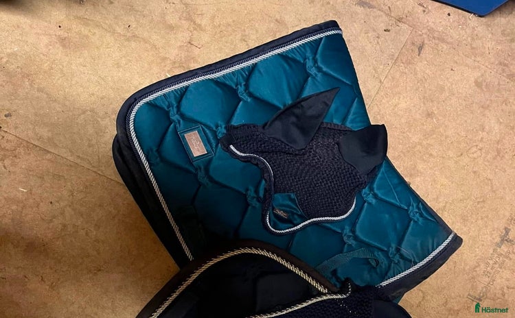 Schabrak & Vojlockar hästutrustning till salu i Löddeköpinge - Annons 12