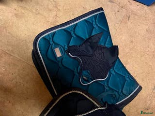 Schabrak & Vojlockar hästutrustning till salu: Equestrian Stockholm schabrak och huva i Löddeköpinge - Annons 22