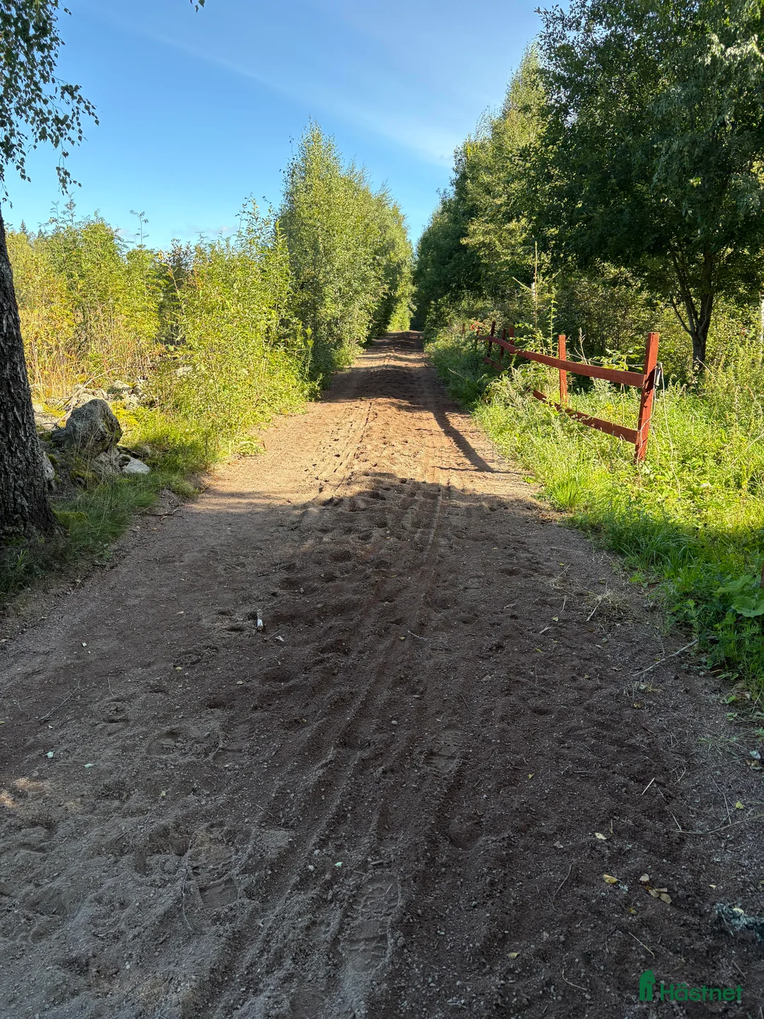  stallplats finnes: Lösdriftsplatser i Lugnet Falun i Falun - Annons 5