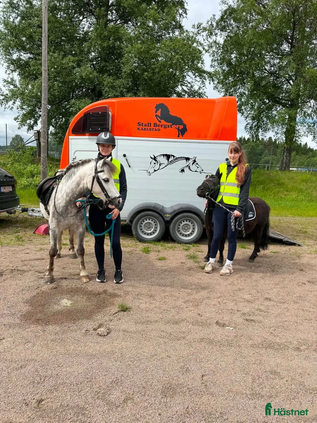 Allround hästar till salu: Barnponny för skogsridning - Annons 4
