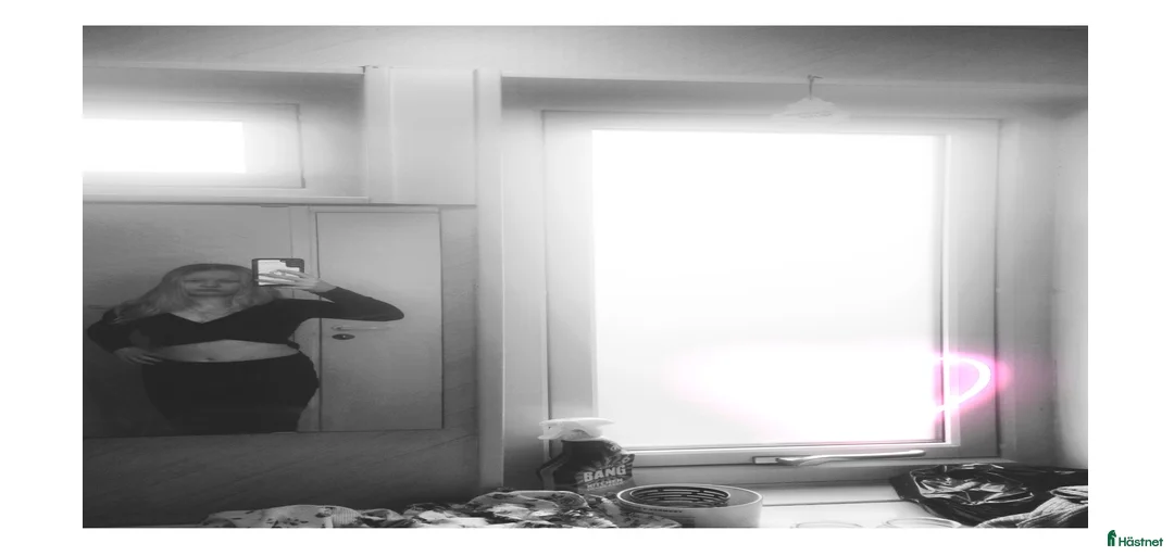 Galleribild {{count}}