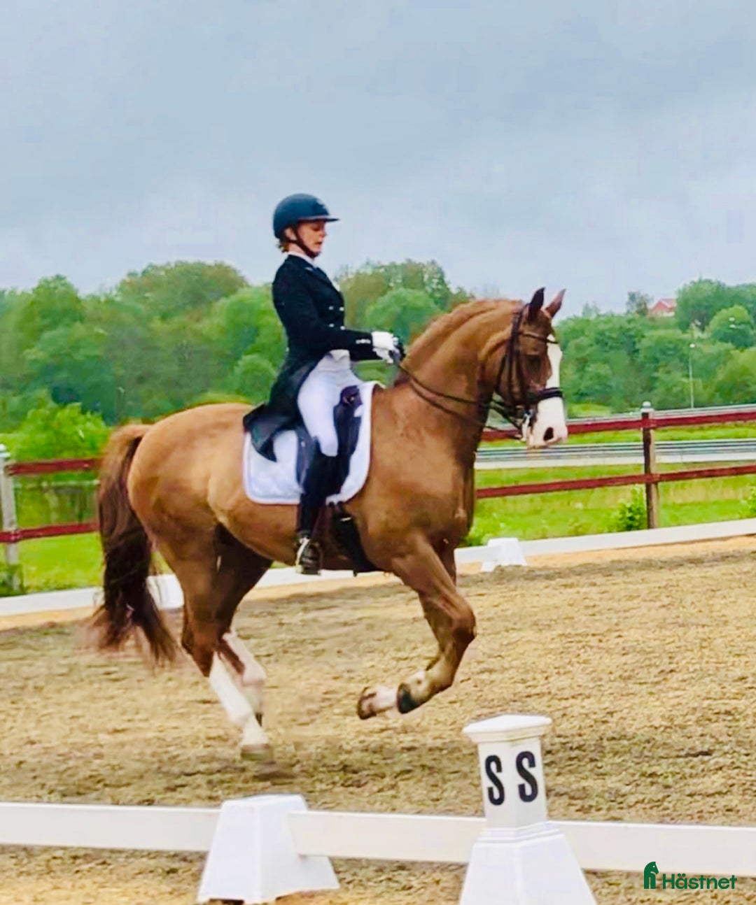  stallplats finnes: Behöver du stallplats på Ekerö?  i Skå - Annons 18