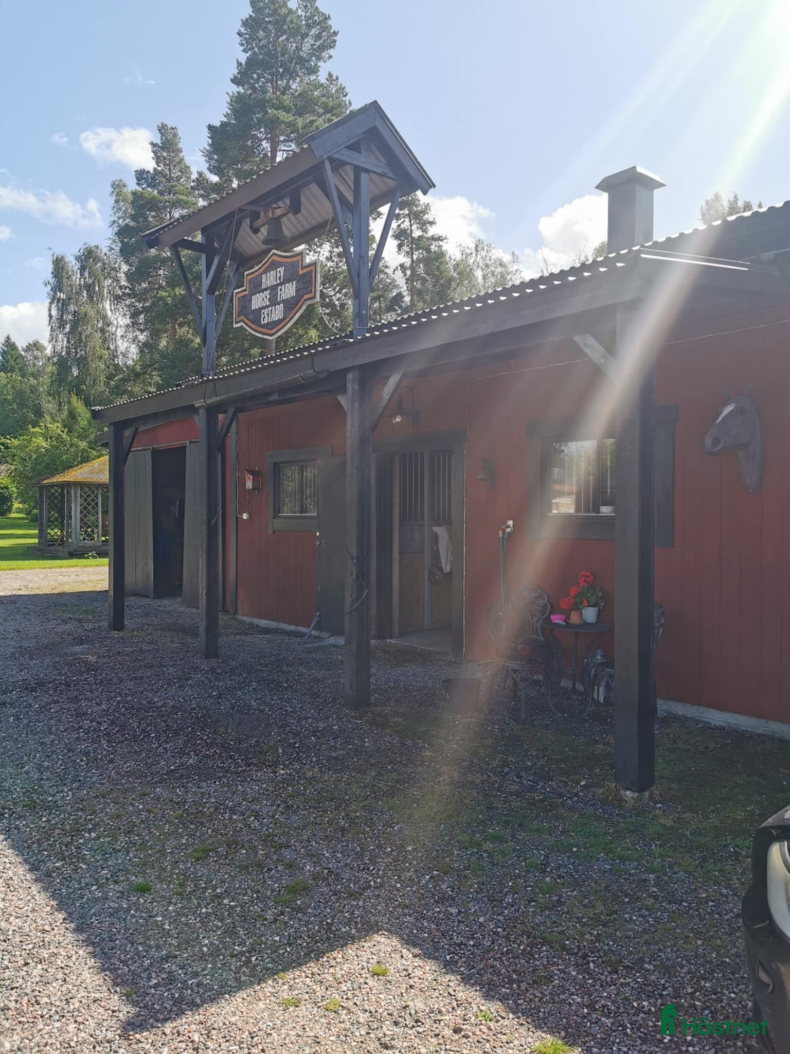  foderhäst Foderhäst/bästa kompis sökes - Annons 3