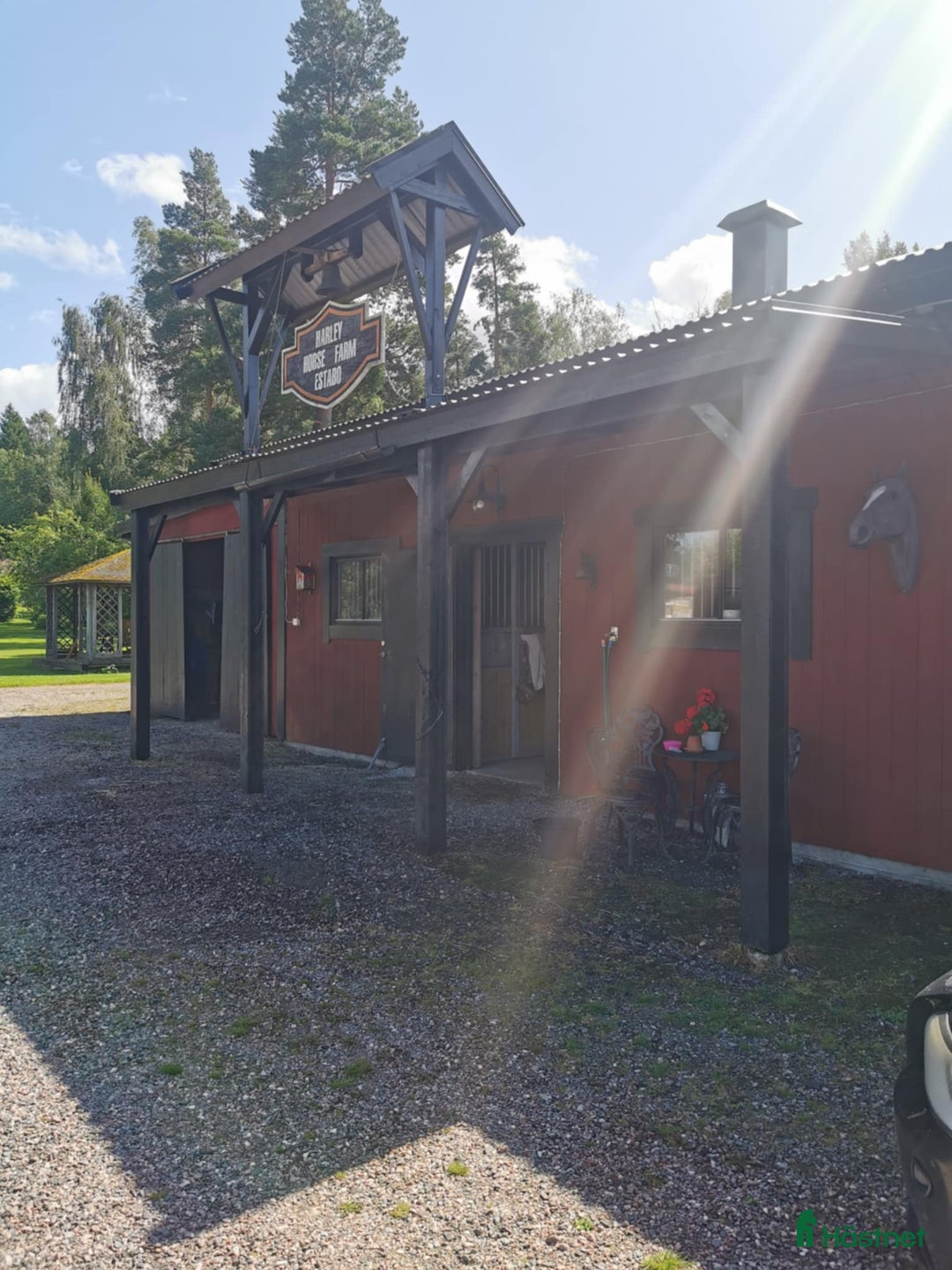  foderhäst sökes: Foderhäst/bästa kompis sökes - Annons 1