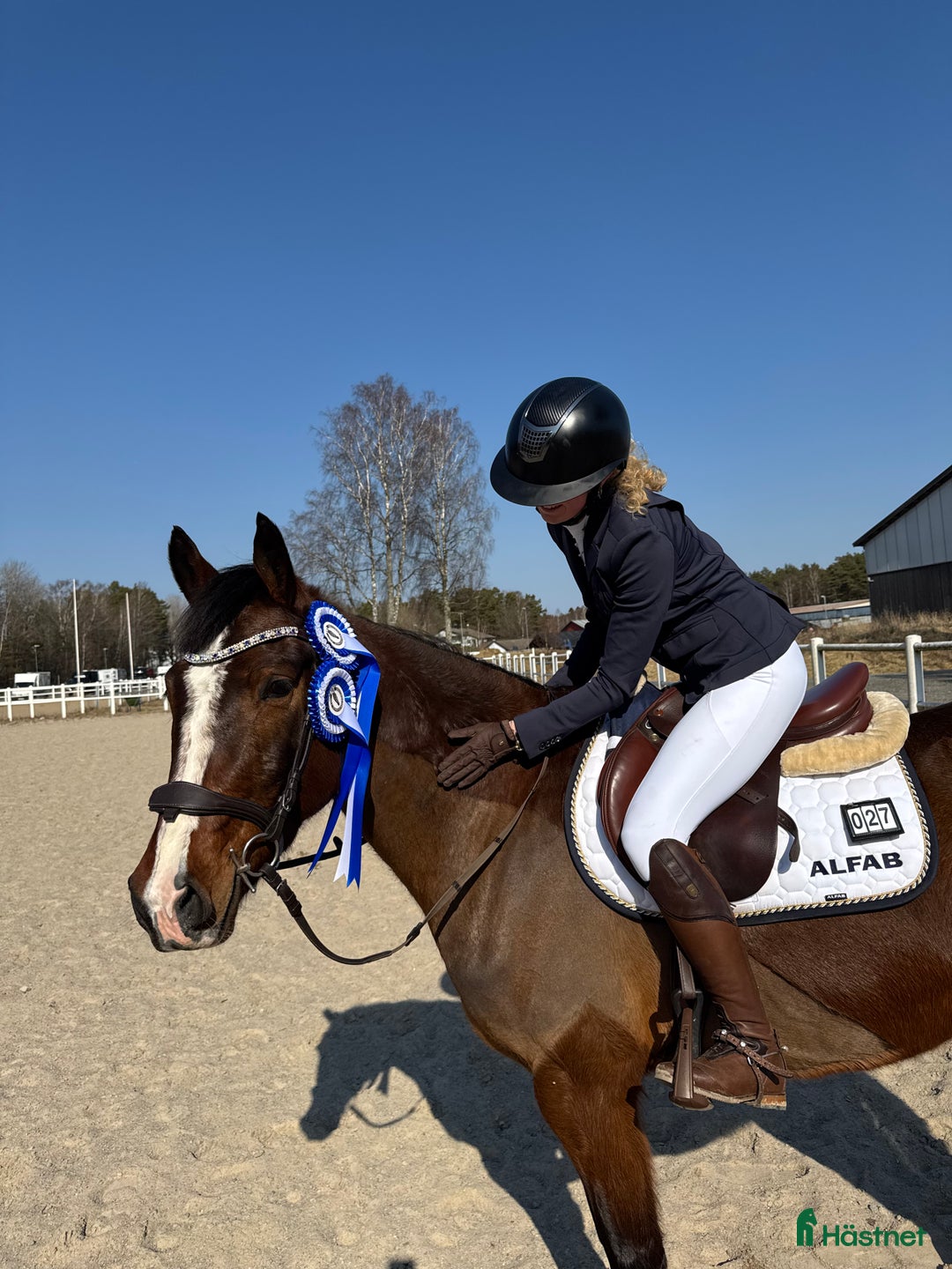 hästjobb finnes: HÄSTJOBB SÖKES i Uddevalla - Annons 2