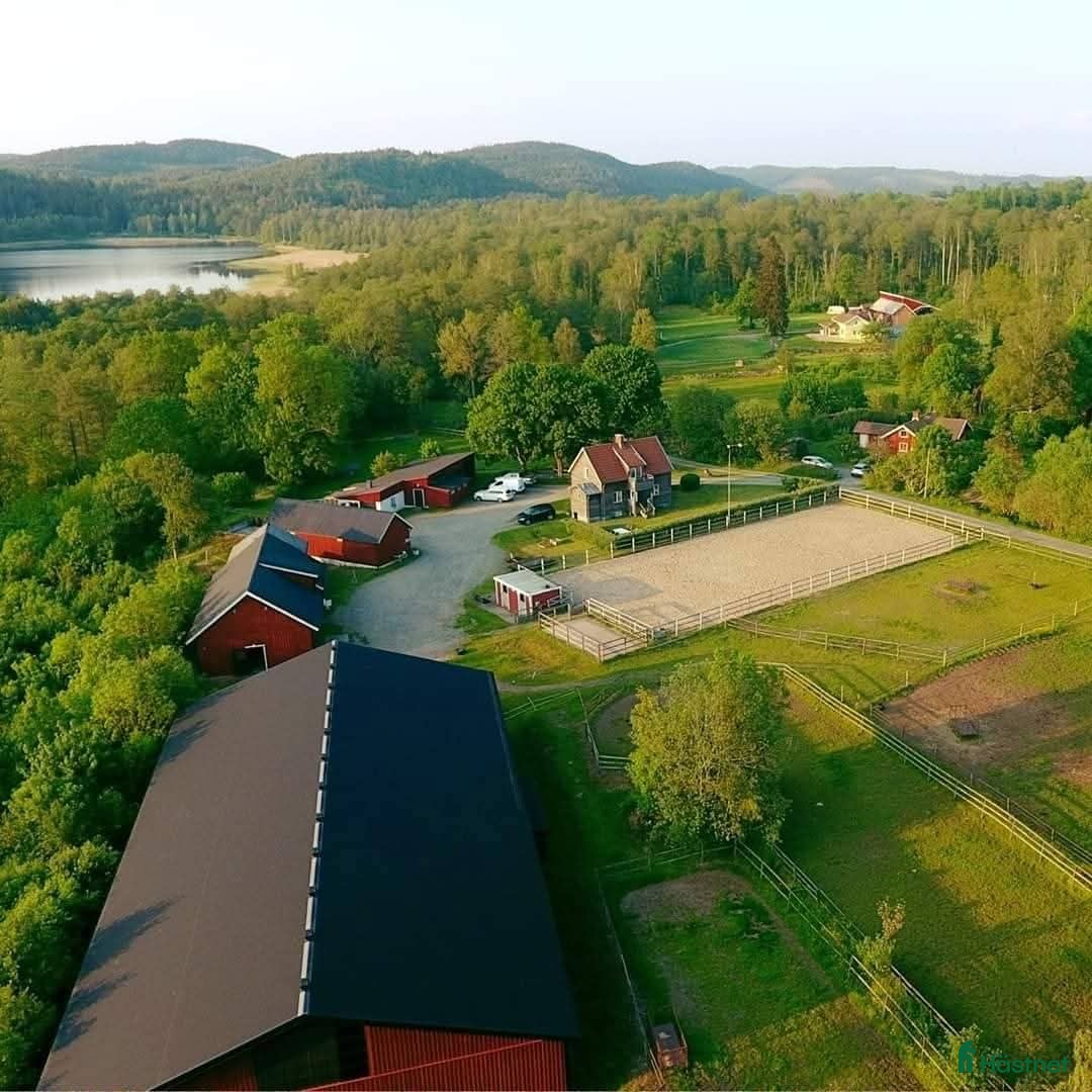  stallplats Välskött mindre ridanläggning uthyres - Annons 14