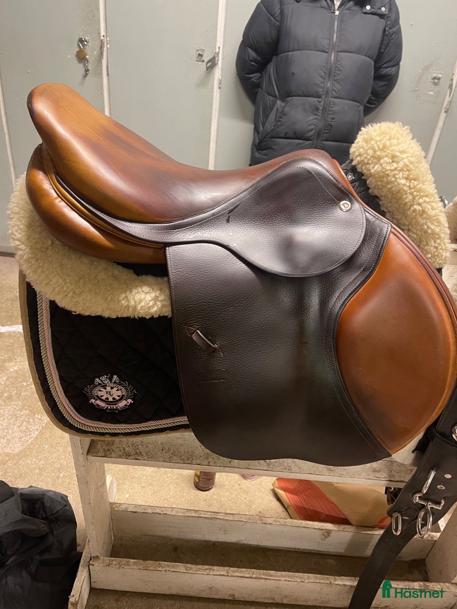 Sadlar hästutrustning Cwd Se02 17,5 tum. - Annons 1
