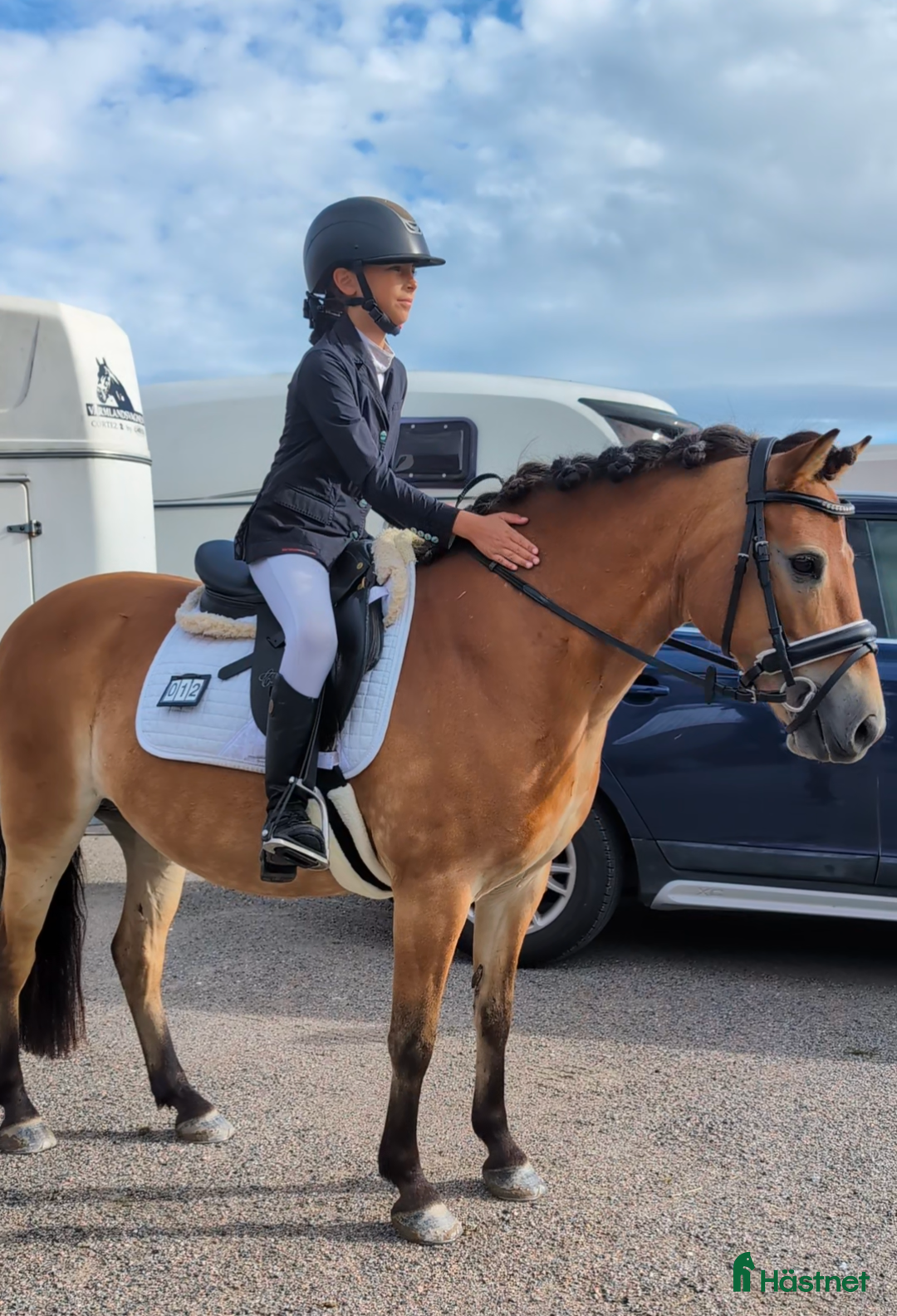 Allround hästar till salu: En ponny UTAN rävar bakom öronen  i Torshälla - Annons 1