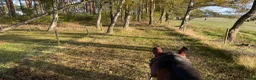  stallplats finnes: Stolösdrift på Skatteberga Gård  - Annons 3