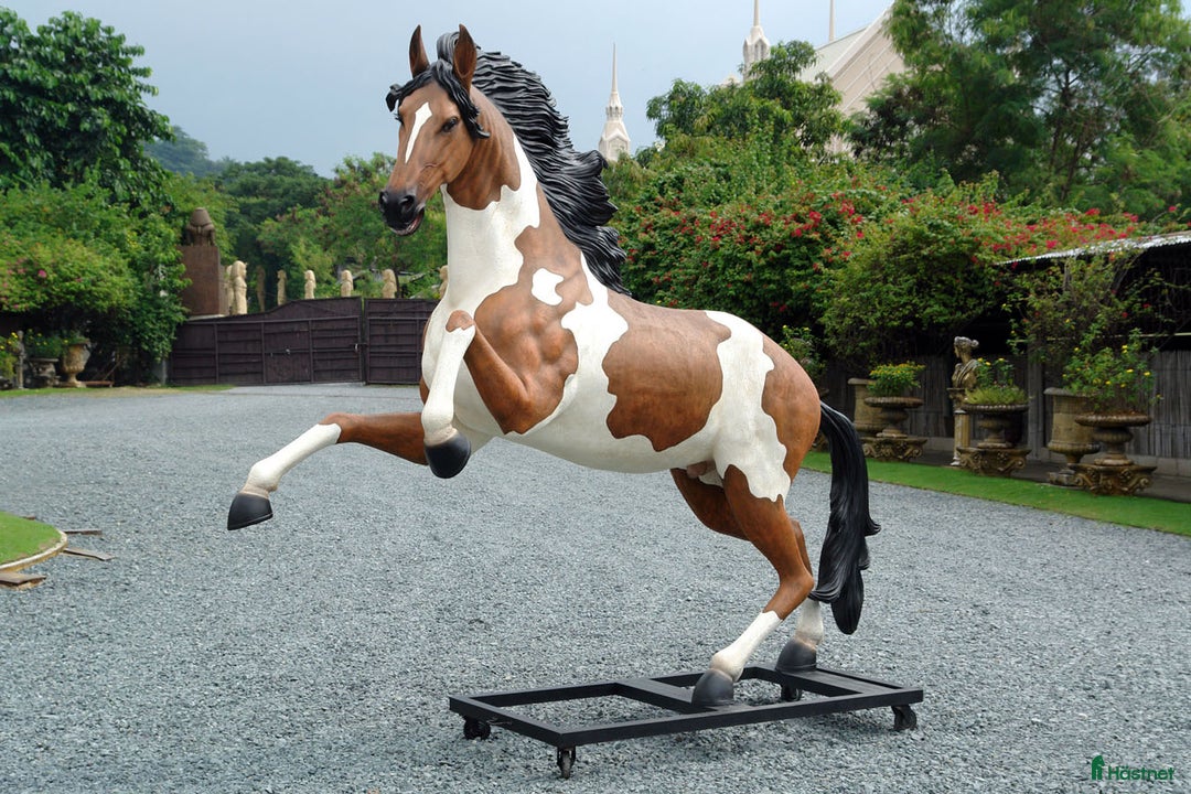 Hästinspirerad heminredning övrig utrustning till salu: Unika glasfiberhästar i naturlig storlek i Luleå - Annons 10