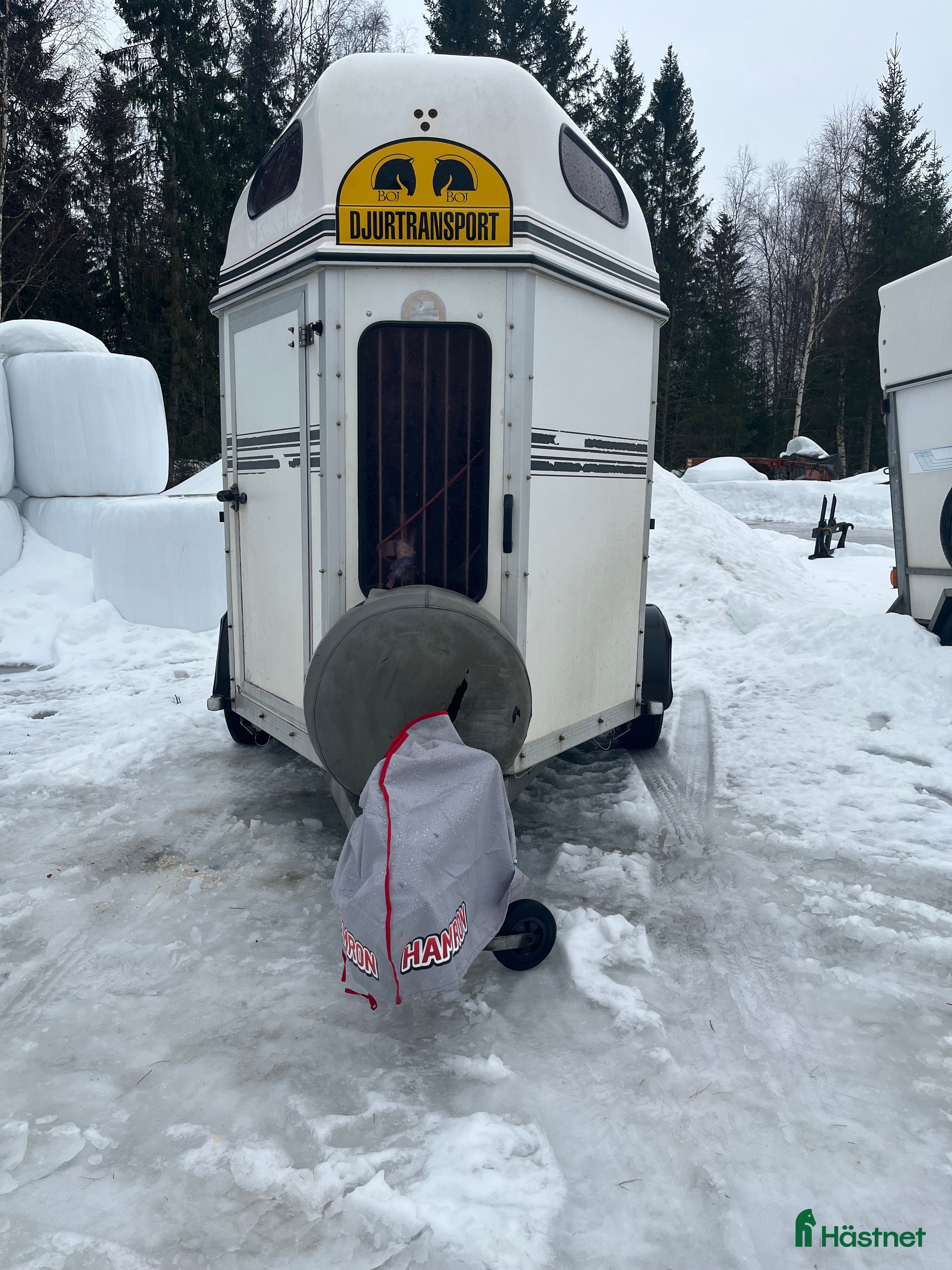 Hästtransporter  fordon & transport till salu: Bojsläp bravo (116) -06 i Luleå - Annons 2
