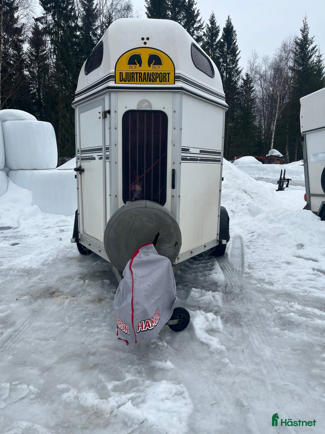 Hästtransporter  fordon & transport till salu: Bojsläp bravo (116) -06 i Luleå - Annons 1