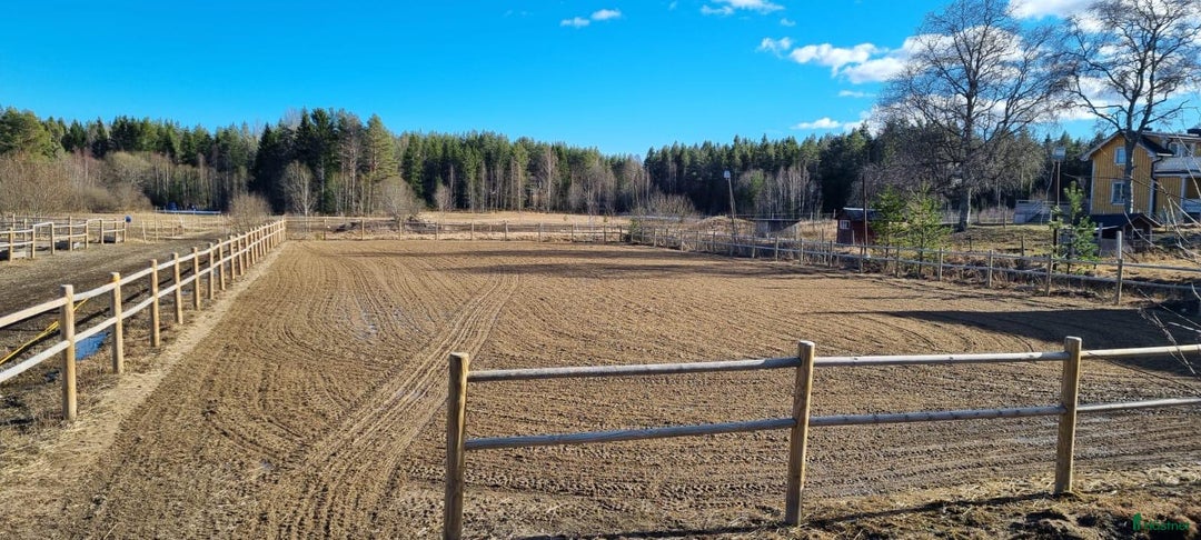  stallplats finnes: Två platser på lösdrift  i Söderhamn - Annons 6