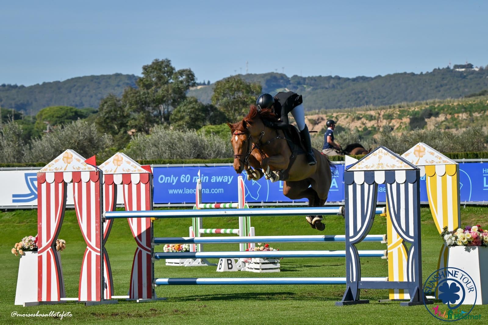 hästar Unghäst med stor potential! - Nabab de reve - Annons 1