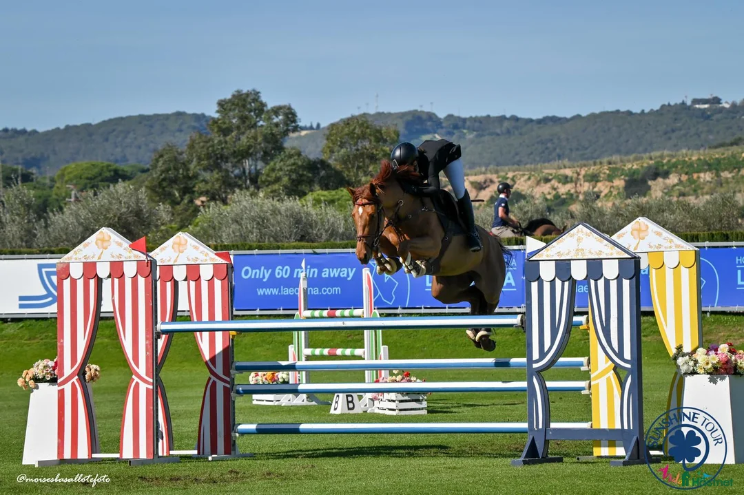 Hoppning hästar till salu: Unghäst med stor potential! - Nabab de reve - Annons 1