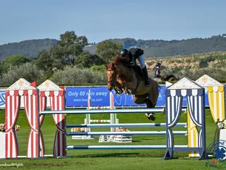 hästar Unghäst med stor potential! - Nabab de reve - Annons 1
