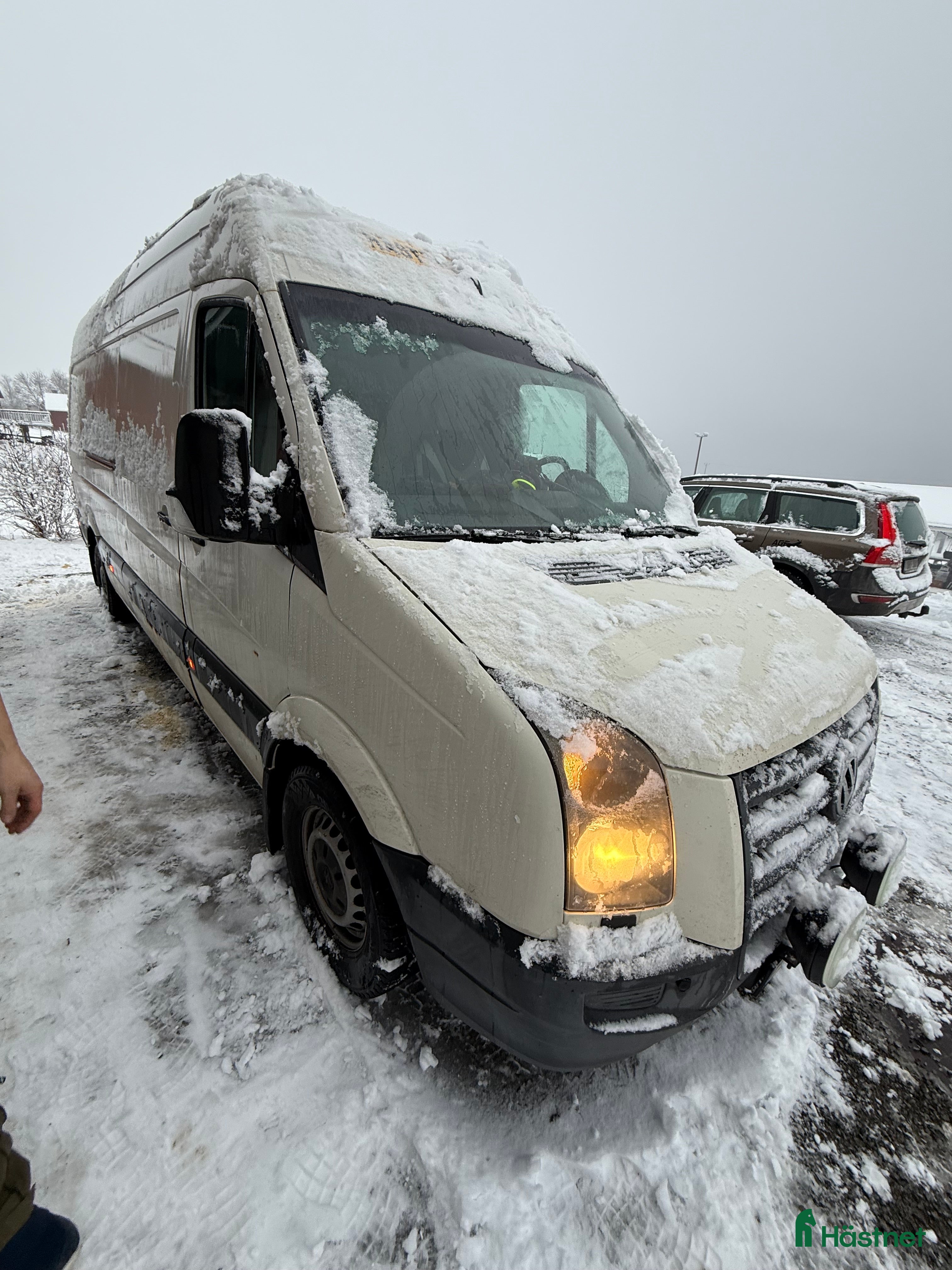Hästlastbilar  fordon &amp; transport till salu: Buss för A&amp;B ponny i Frösön - Annons 8