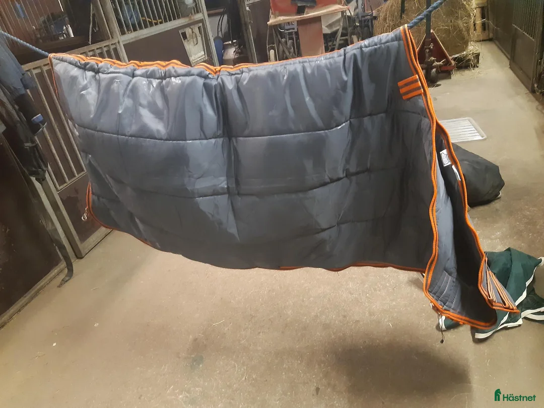 Täcken hästutrustning till salu: Liner 300g stl.145 - Annons 2