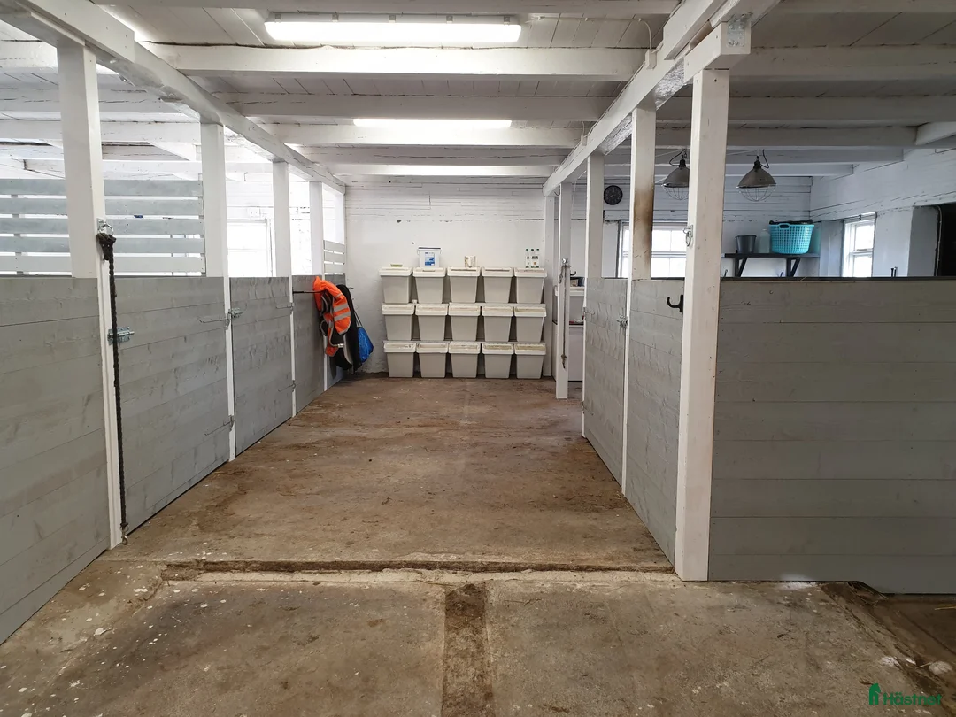  stallplats finnes: Stallplats  - Annons 1