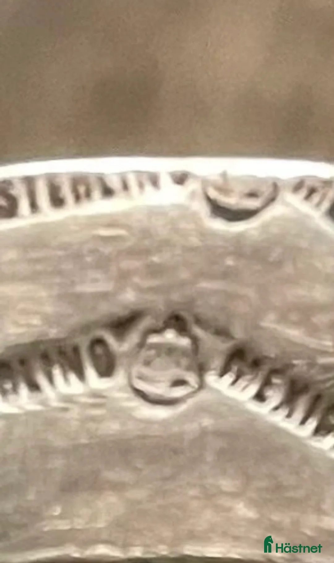 Övrig Hästutrustning hästutrustning till salu: Haltergrimma Showgrimma i Karlstad - Annons 10