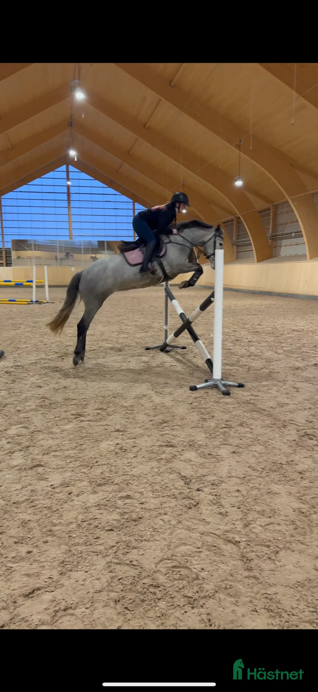 Hoppning hästar till salu: Fantastiskt ponny i Borlänge - Annons 1