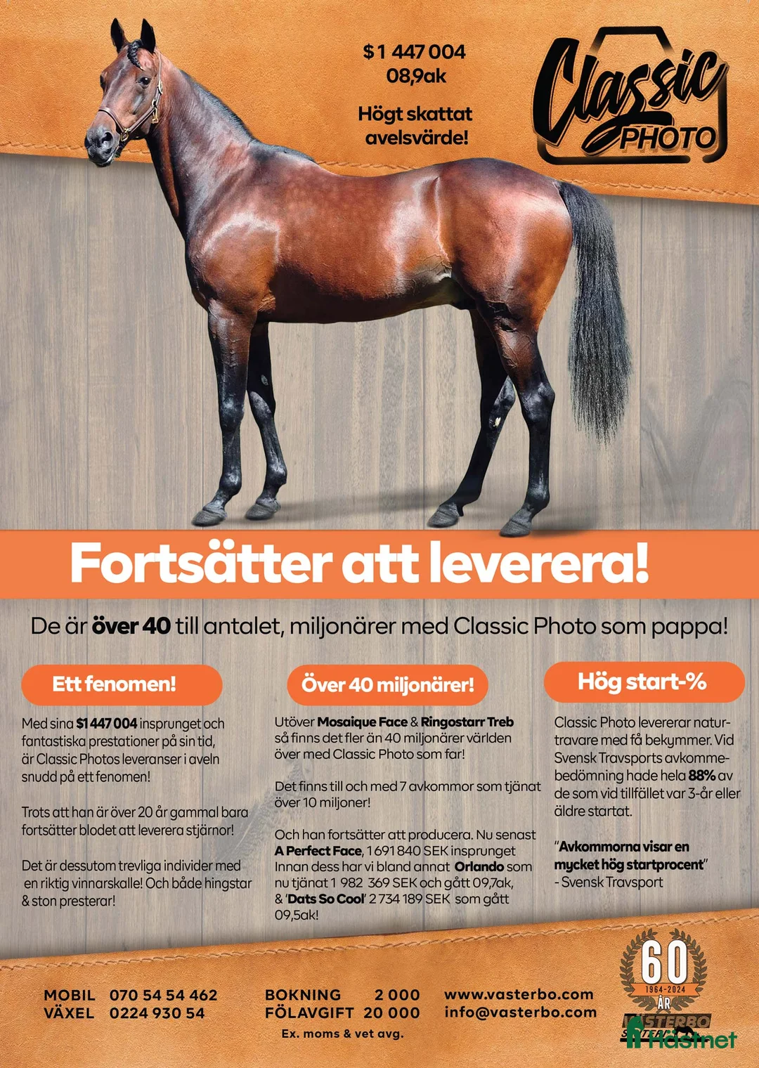 Trav hästar till salu: ettåringar säljes - Annons 2