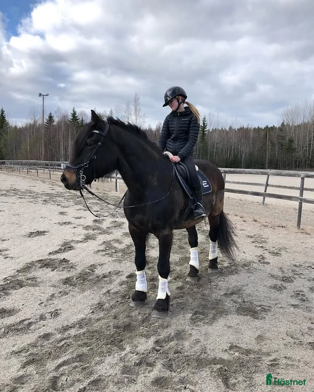 Allround hästar sökes: Hästvan familj söker ponny eller häst att låna💕 - Annons 1